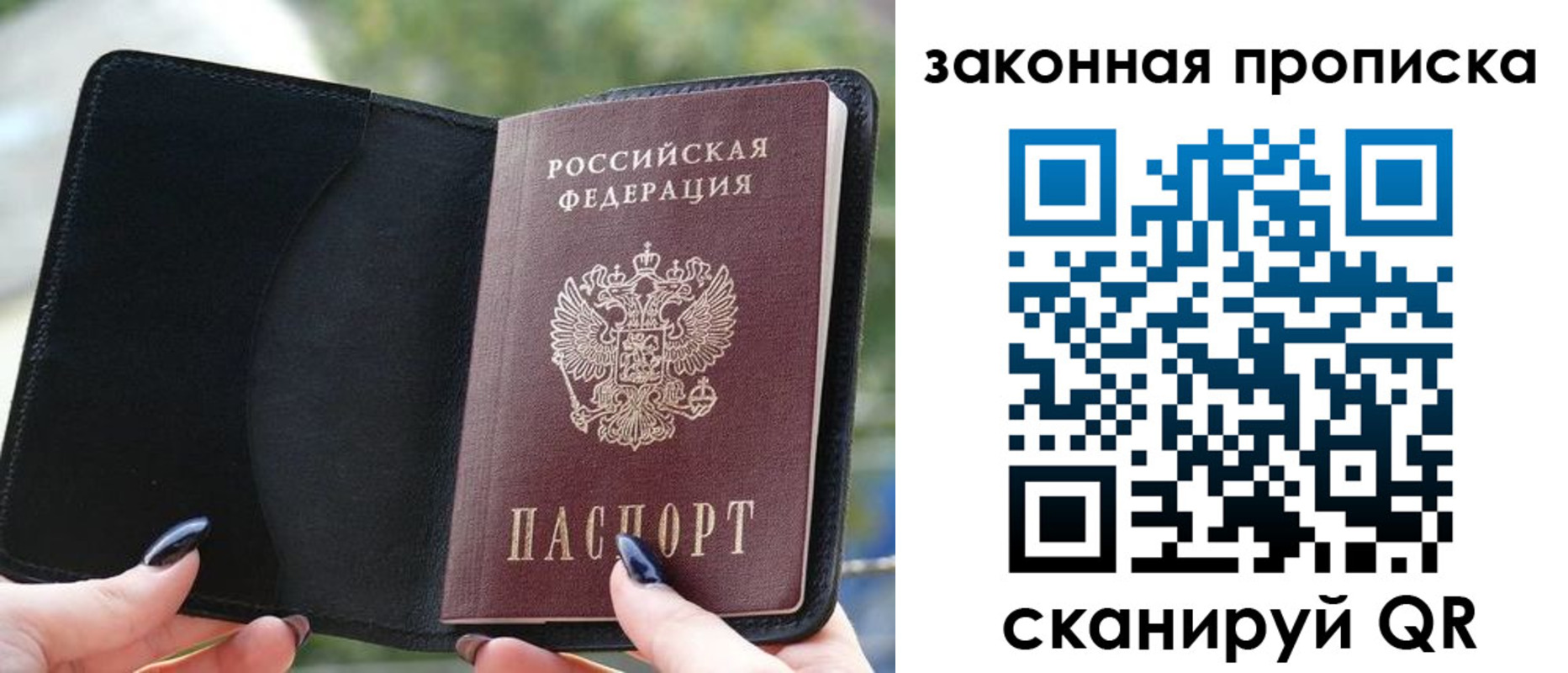 прописка законно в Сальске
